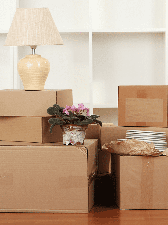boxes packed before port moody movers arrive